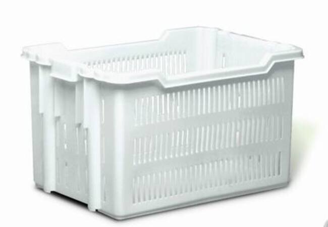 GIG BACINELLA CONTAINER 60X50 CHIUSA