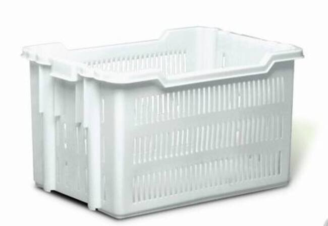 GIG BACINELLA CONTAINER 75X50 FORATA